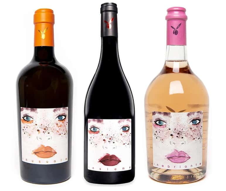 San Miniato: Organic Wine and Olive Oil Tasting Experience - An In-Depth Look at the Experience