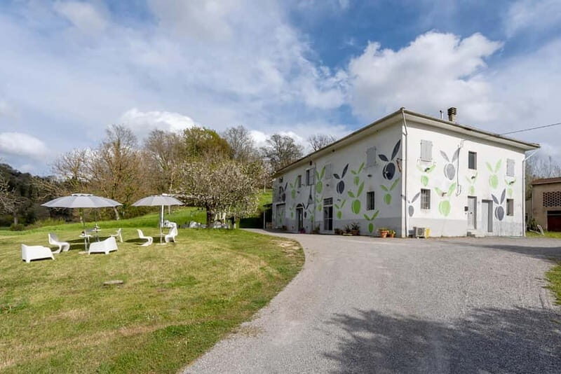 San Miniato: Organic Wine and Olive Oil Tasting Experience - The Sum Up