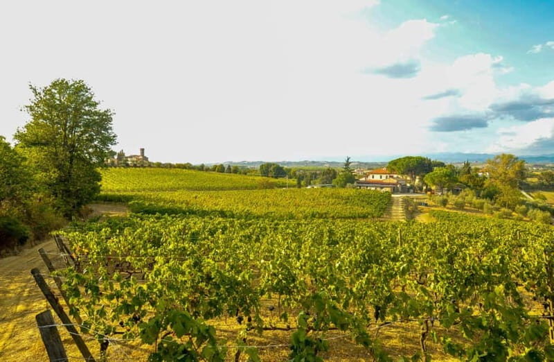 San Miniato: Organic Wine Tasting and Vineyard Tour - Introduction