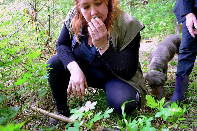 San Miniato: Truffle Hunting, Food, and Gourmet Experience - What Previous Travelers Say