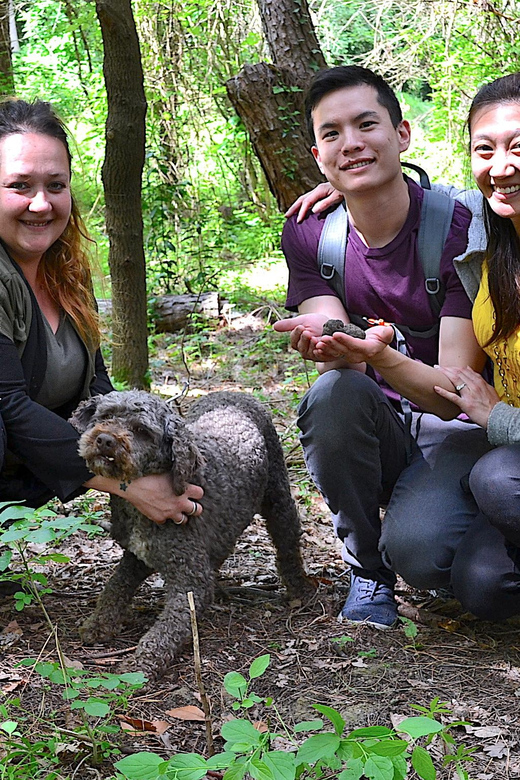 San Miniato: Truffle Hunting, Food, and Gourmet Experience - The Sum Up: Who Should Consider This Tour?