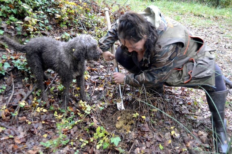San Miniato: Truffle Hunting, Food, and Gourmet Experience - Final Thoughts