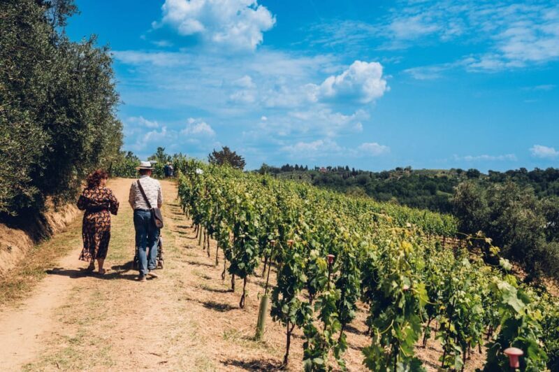 San Miniato: Wine Tour in a Family-Run Tuscan Winery - An In-Depth Look at the San Miniato Wine Tour