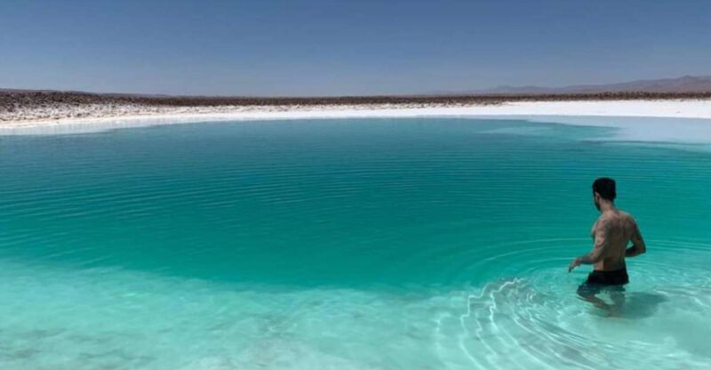 San Pedro Atacama: Baltinache Lagoons and Magic Bus Tour - Key Points
