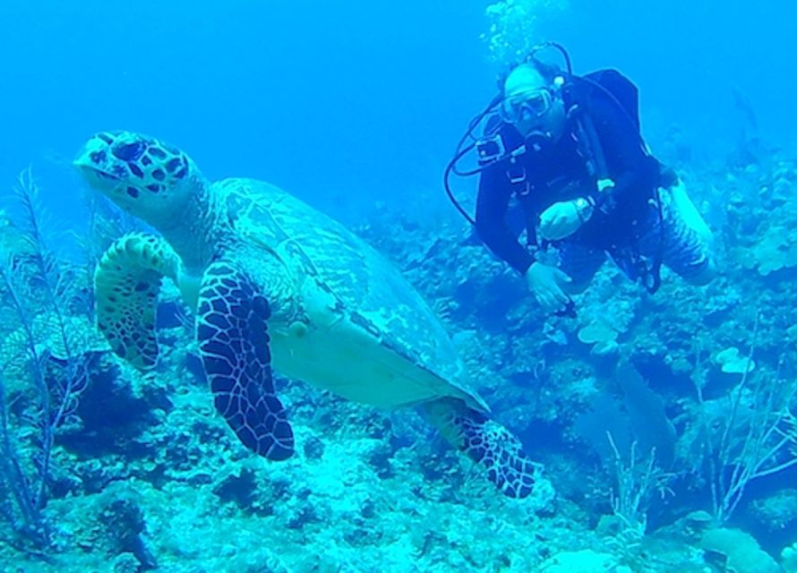 San Pedro, Belize Scuba Diving - Dive Shop and Amenities