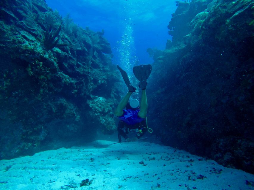 San Pedro, Belize Scuba Diving - Diving Certification