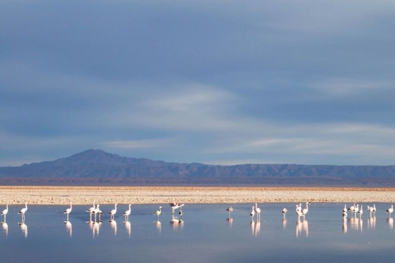 San Pedro De Atacama: 4-Day Magic Desert Tour - Day 3: Geysers and Valleys