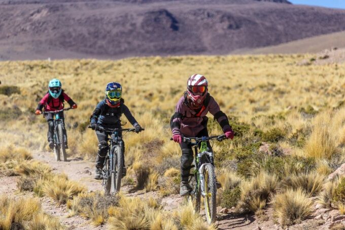 San Pedro De Atacama: Volcano Downhill Bike Tour - Pricing and Group Details