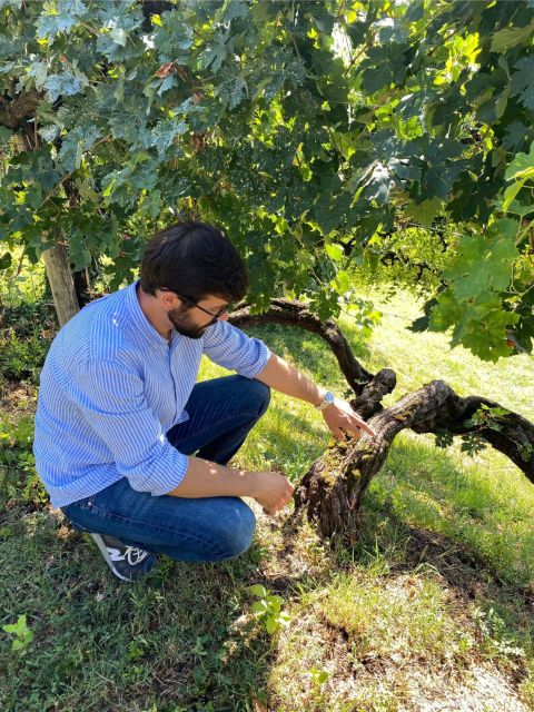 San Pietro Di Feletto: Vineyard Tour With Cellar Visit - Pricing and Payment Options