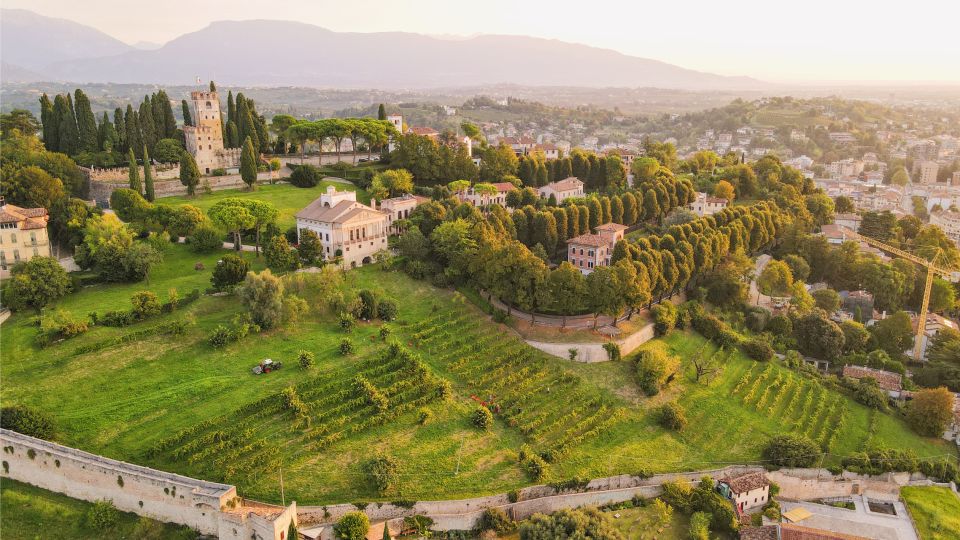San Pietro Di Feletto: Vineyard Tour With Cellar Visit - Customer Reviews and Ratings