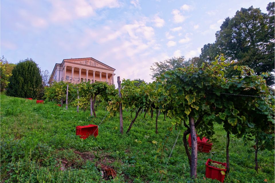 San Pietro Di Feletto: Vineyard Tour With Cellar Visit - Booking Process and Details