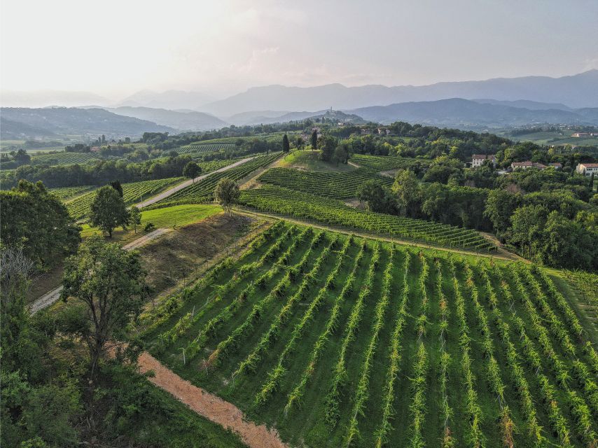 San Pietro Di Feletto: Vineyard Tour With Cellar Visit - Location and Directions