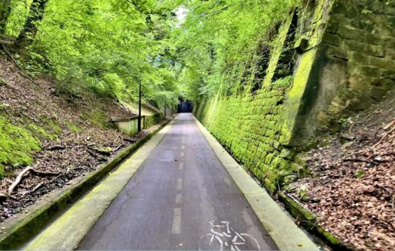 San Sebastian: Bike Tour to Oiartzun With FREE Snack & Drink - Inclusions