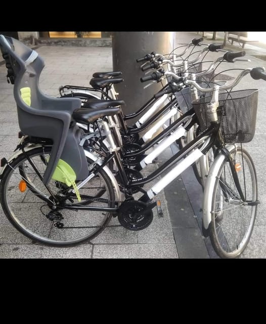 San Sebastian: Bike Tour to Oiartzun With FREE Snack & Drink - Tour Experience