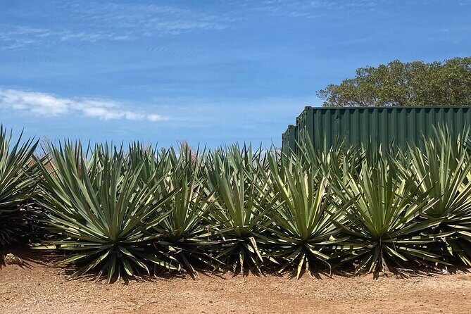 San Sebastián del Oeste, a town between mountains - Final Thoughts