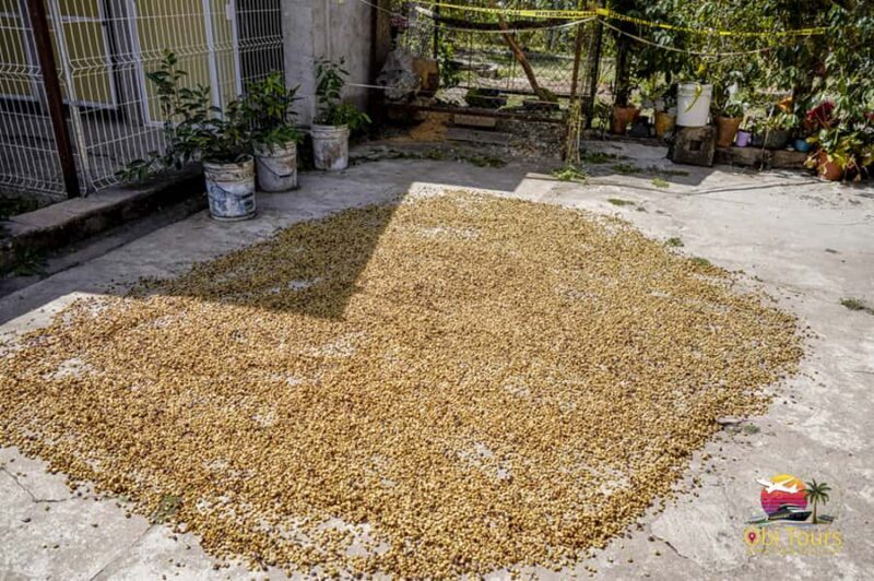 San Sebastian Del Oeste: Private Trip from Puerto Vallarta - Key Points