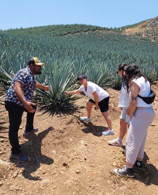 San Sebastian del Oeste: Tequila Tasting and Coffee Tour - Key Points
