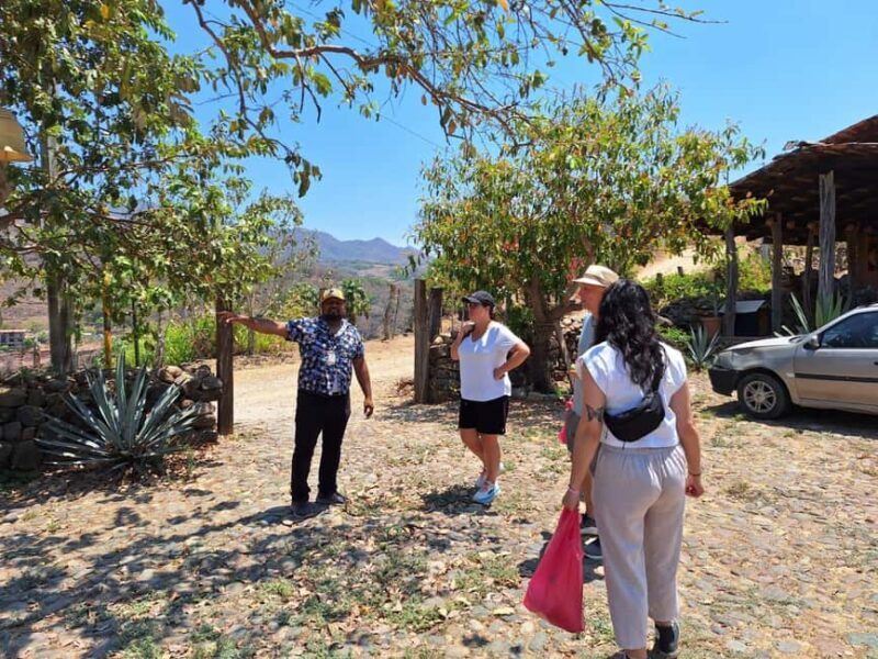 San Sebastian del Oeste: Tequila Tasting and Coffee Tour - Walking the Itinerary