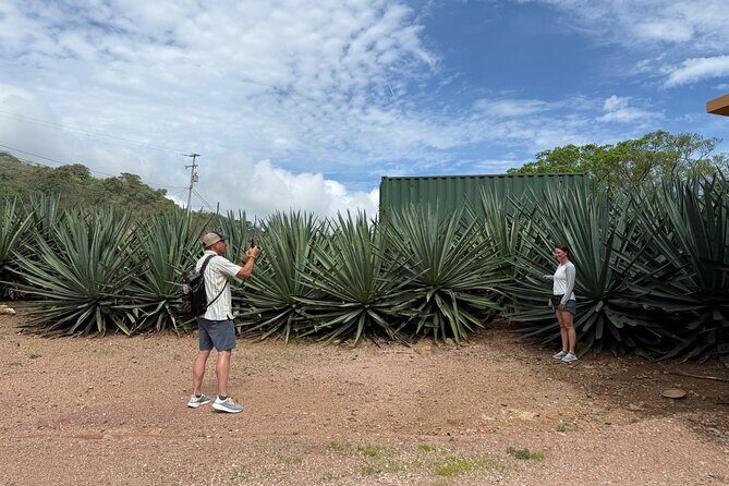 San Sebastián del Oeste Tour Coffee Tequila and Colonial Charm - A Detailed Look at the San Sebastián del Oeste Tour