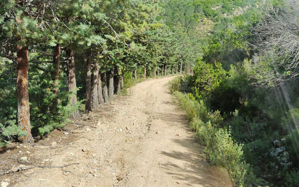 San Teodoro: Rio Pitrisconi Jeep and Hiking Tour - Rio Pitrisconi Hike