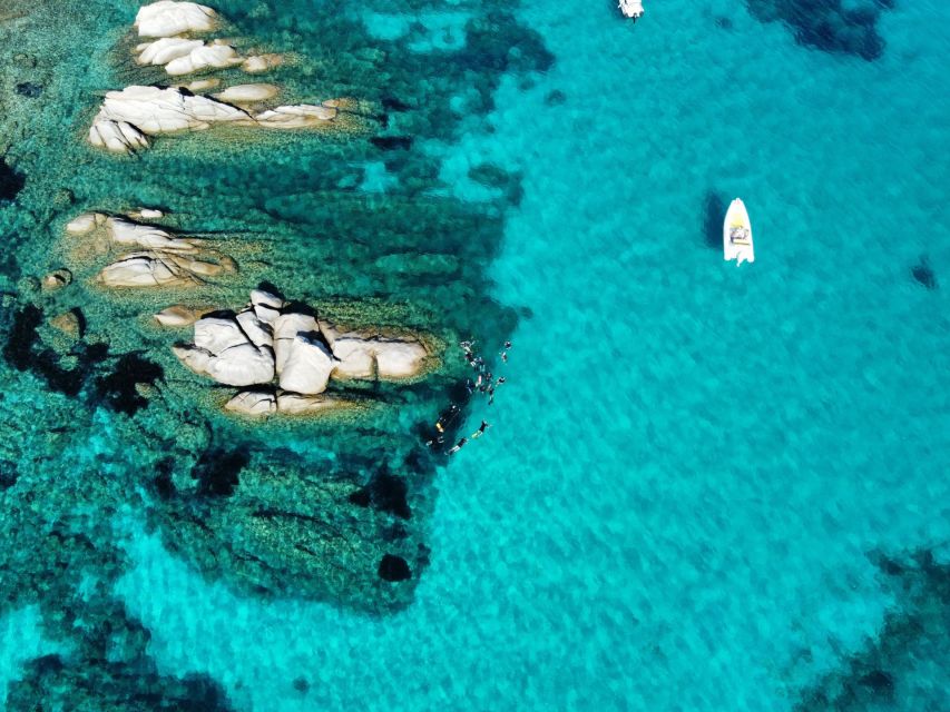 San Teodoro: Snorkeling in Molara - Discovering the Marine Life