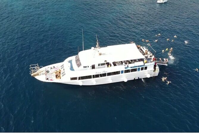 San Vito Lo Capo Zingaro Nature Reserve Boat Tour and Lunch - Authentic Experiences and Traveler Feedback