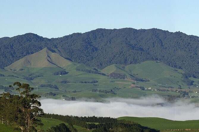 Sanctuary Mountain Ancient Forest Walk & Hamilton Gardens Tour - A Closer Look at the Itinerary