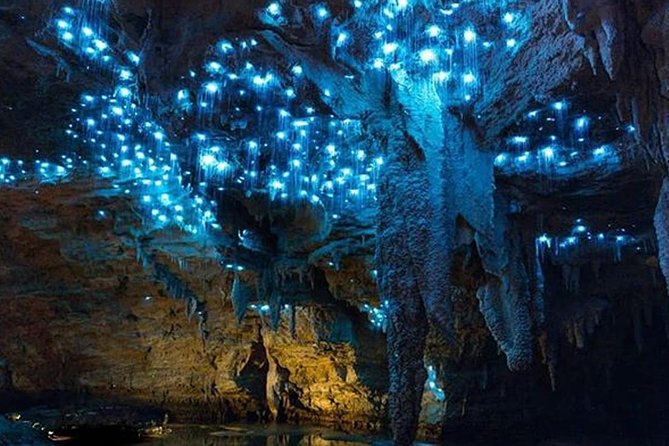 Sanctuary Mountain (Mt Maungatautari) & Waitomo Luxury Day Tour From Auckland - Waitomo Caves Exploration