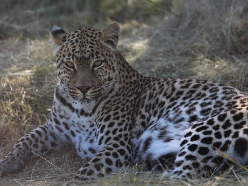 Sanctuary Tour - Booking Information