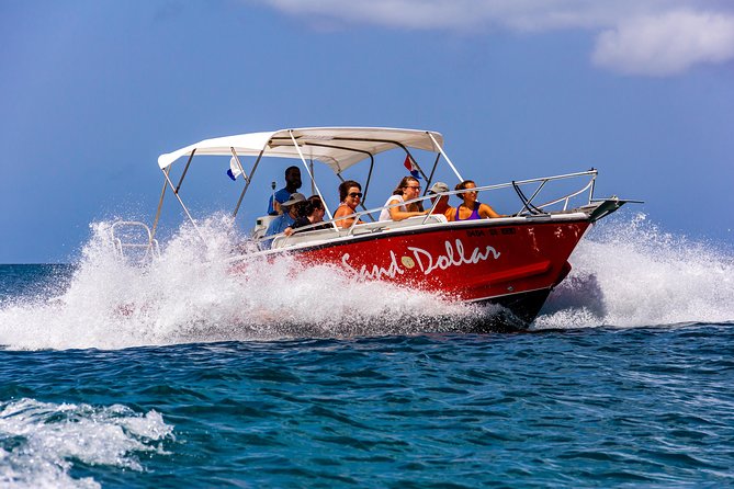 Sand Dollar Half Day Snorkel Trip - What to Bring