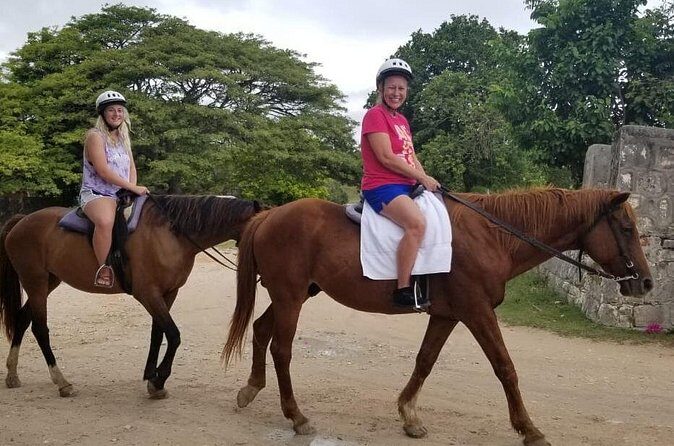 Sand n Saddle Horseback Ride & Swim Tour from Falmouth - Who Will Love This Tour?