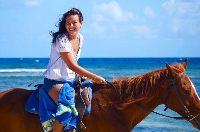 Sand n Saddle Horseback Ride & Swim Tour from Falmouth - The Sum Up