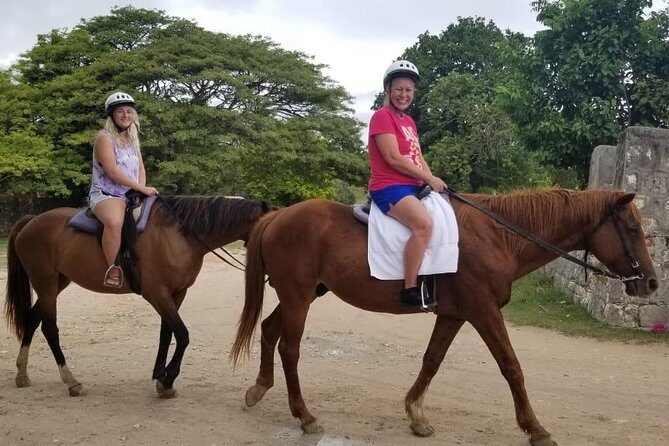 Sand n Saddle Horseback Ride & Swim Tour from Runaway Bay - What to Expect from the Horseback Ride & Swim Experience