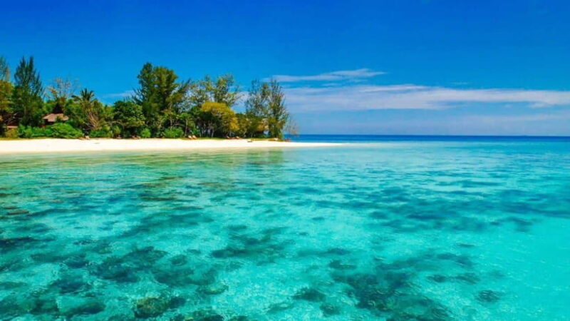 Sandakan : 2 Days 1 Night At Turtle Island - Key Points