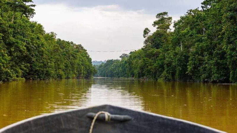 Sandakan : 3-Day Kinabatangan River Wildlife Adventure - FAQ