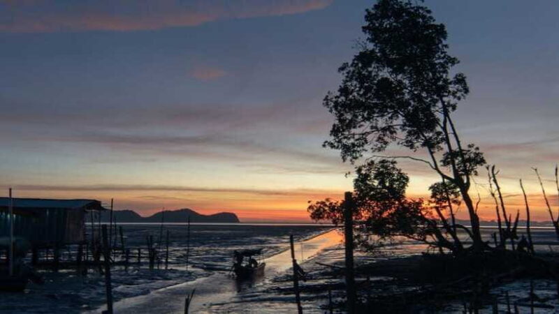 Sandakan : Fireflies and Mangrove Cruise with Dinner - The Sum Up