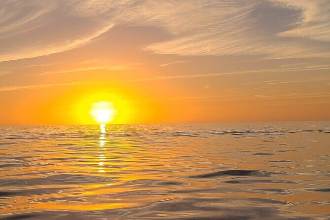 Sandbar, Beach, Dolphin Watching Cruise Sarasota, Florida - Close-Up Time at the Sandbar and Beaches