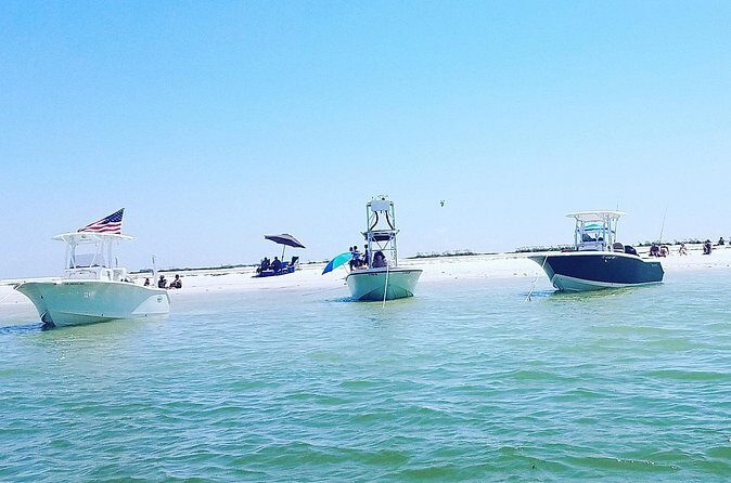 Sandbar, Beach, Dolphin Watching Cruise Sarasota, Florida - Why this Private Tour Stands Out