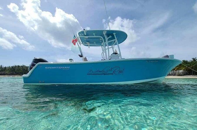 Sandbar, Beach, Dolphin Watching Cruise Sarasota, Florida - Addressing Practical Considerations