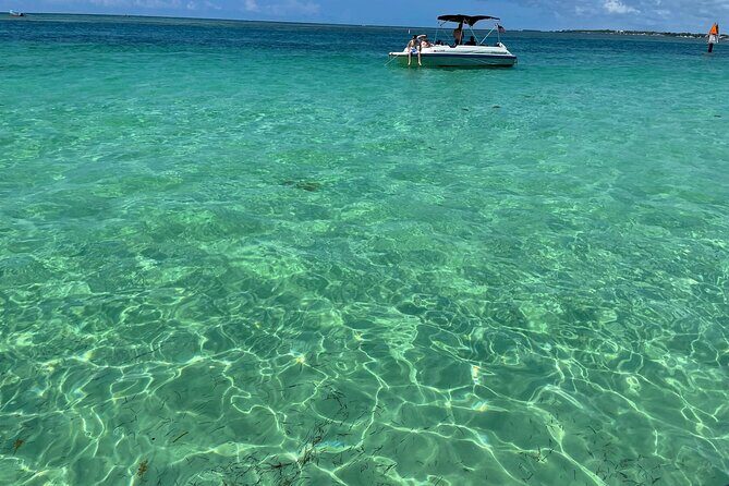 Sandbar Excursion - What Travelers Say and Why It Matters