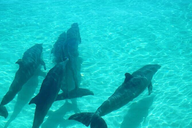 Sandbar Excursions with Snorkeling and Sunset Cruises in Key West - The Itinerary: What to Expect