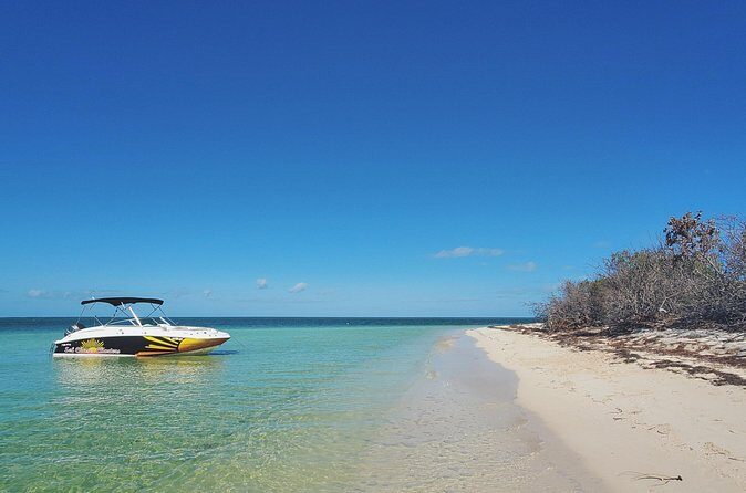 Sandbar Excursions with Snorkeling and Sunset Cruises in Key West - Final Thoughts: Is It Worth It?