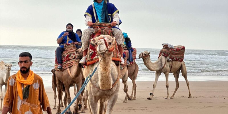 Sandboarding & Sunset Camel Ride With Barbecue - Barbecue Dinner Delight