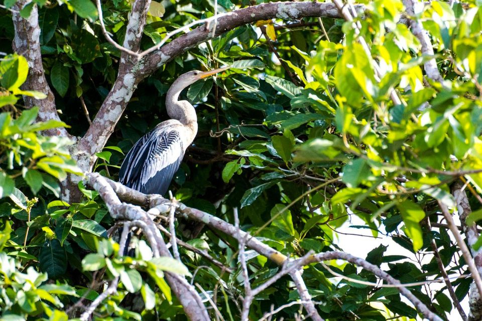 Sandoval Lake Yacumama Lake Piranha Fishing 5 Days - Key Points