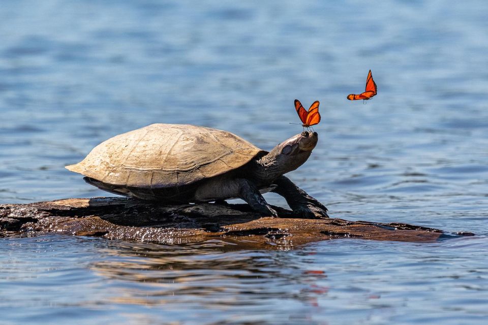 Sandoval Lake Yacumama Lake Piranha Fishing 5 Days - Detailed Itinerary