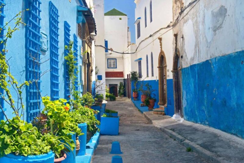 Sands and Serenity: 8 Days Desert and Kasbah Adventure - Good To Know