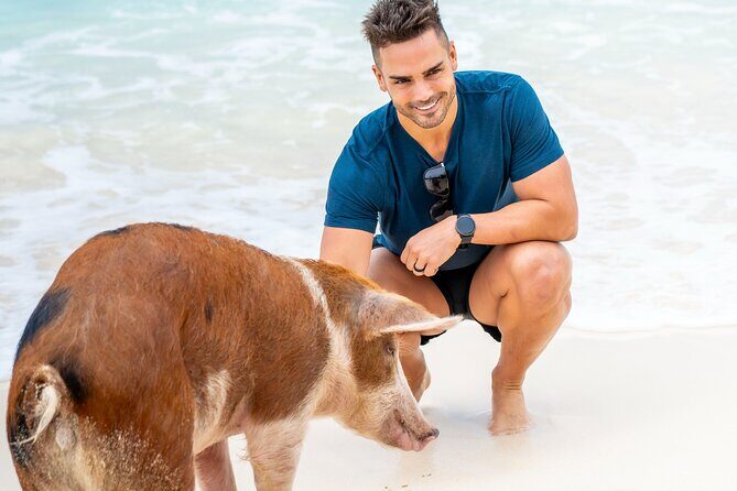 Sandy Toes The Original Rose Island and Swimming Pigs Tour - FAQs