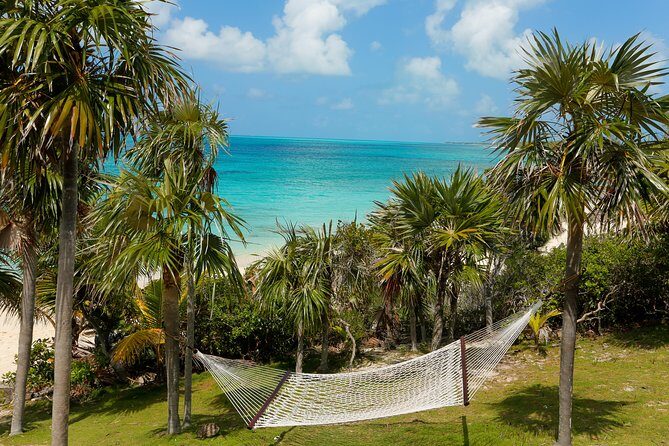 Sandy Toes The Original Rose Island and Swimming Pigs Tour - Final Thoughts