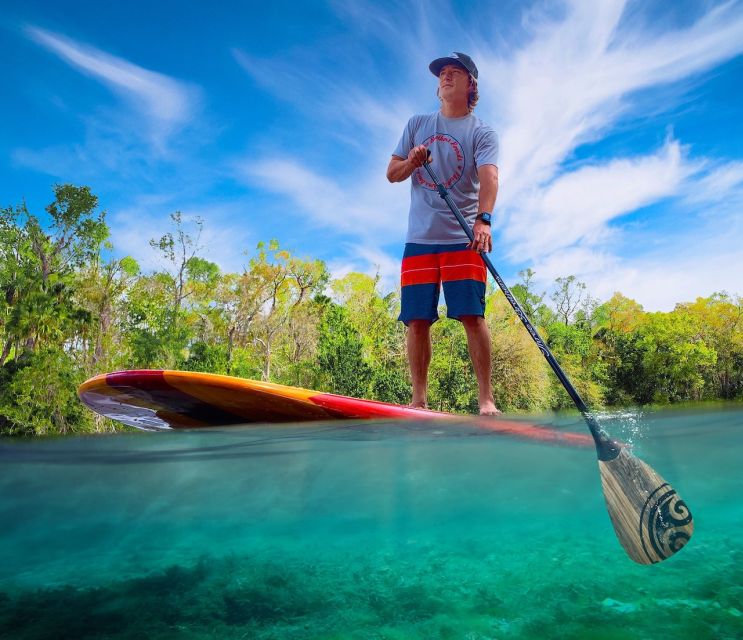 Sanford: Guided SUP or Kayak Manatee-Watching Tour - Activity Details