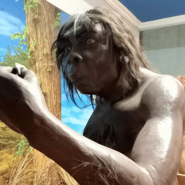Sangiran Museum-UNESCO (Homeland of Java Man) - Key Points